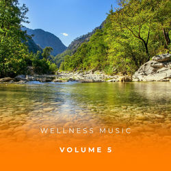 Cover of Wellness Music Vol. 5 by undefined