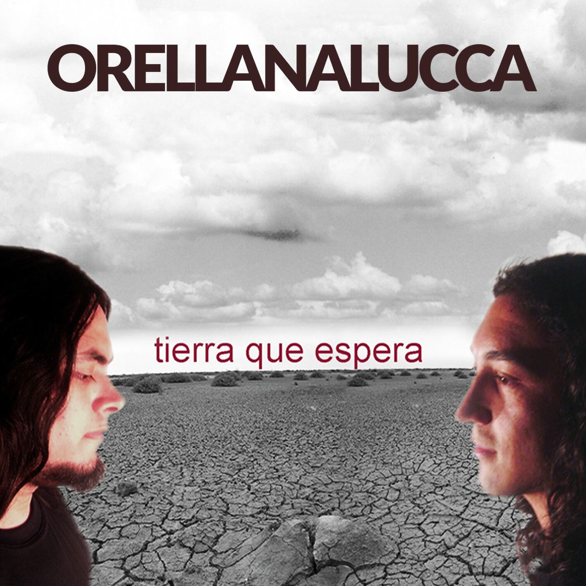 Album cover of Claro de Luz