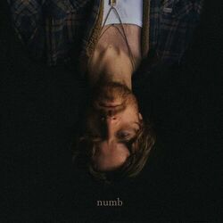 Cover of numb