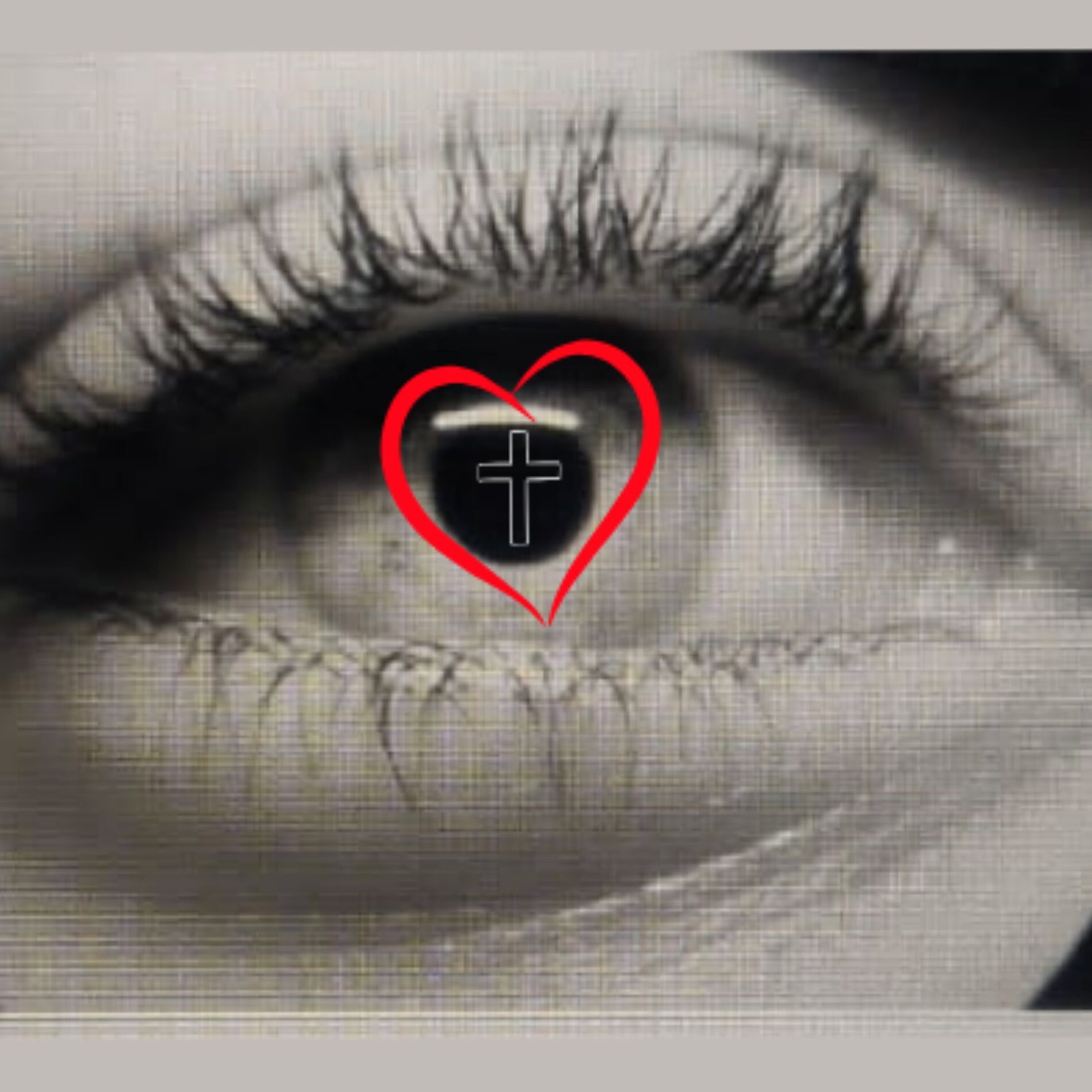Album cover of Amazing Love
