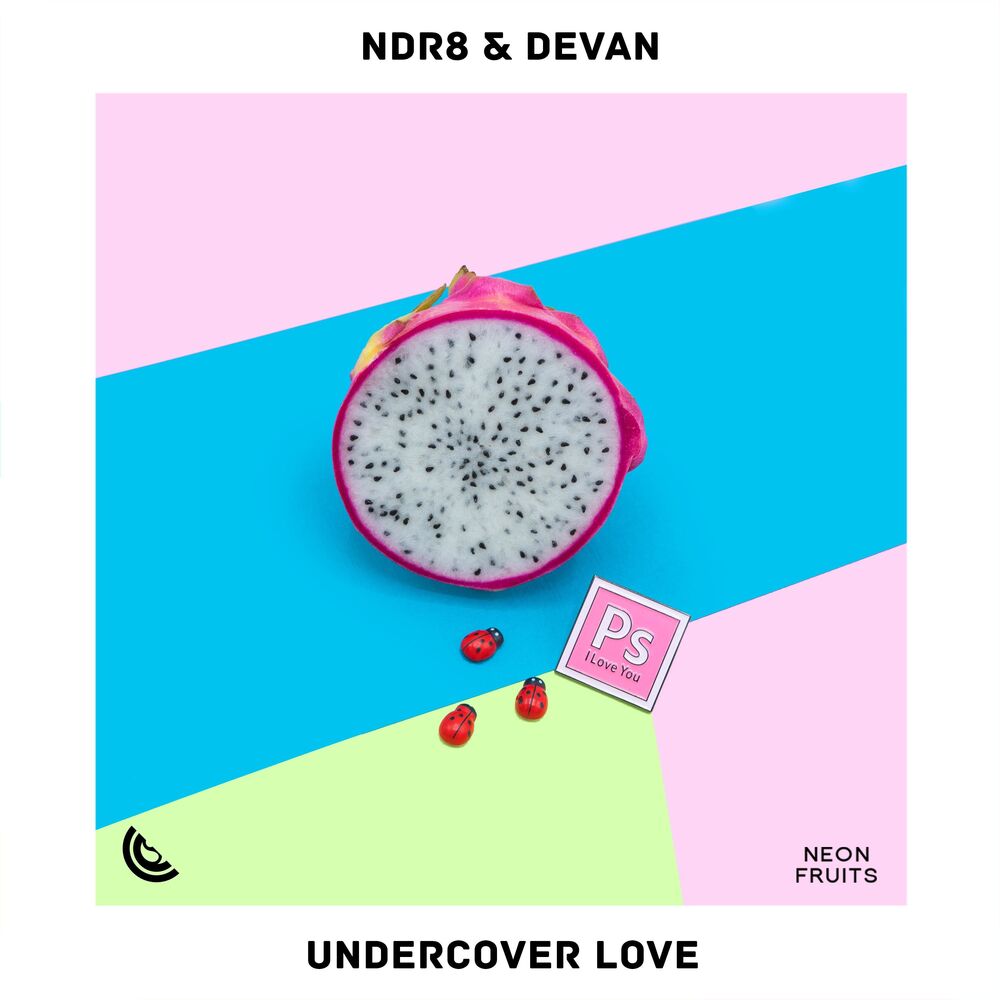 Picture of Undercover Love