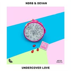 Cover of Undercover Love