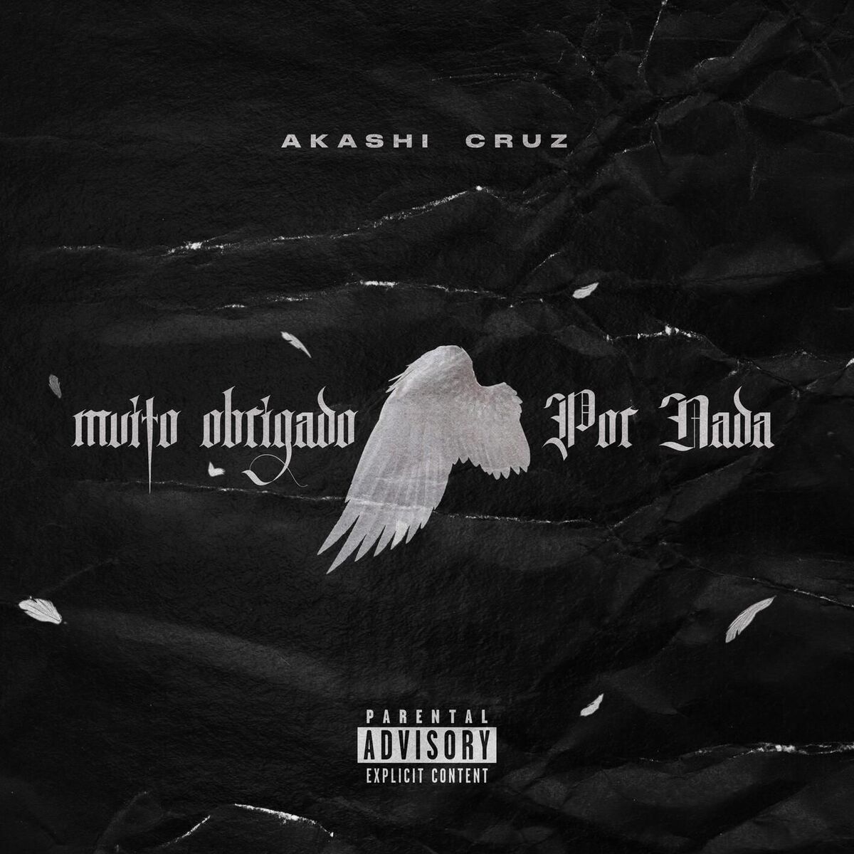 Album cover of Muito obrigado por nada