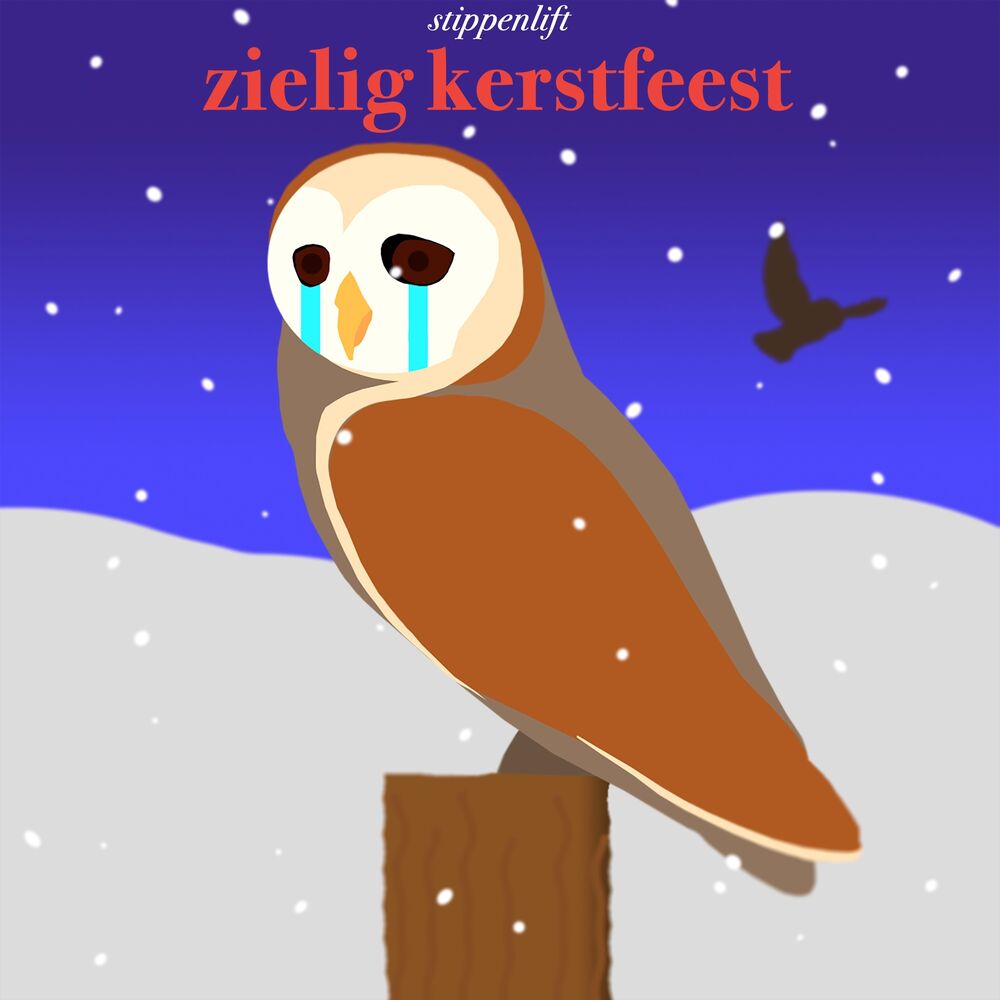 Picture of Zielig Kerstfeest