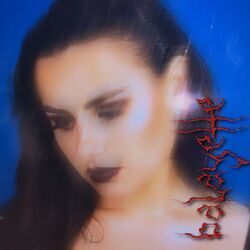 Cover of Balayette