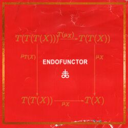 Cover of Endofunctor
