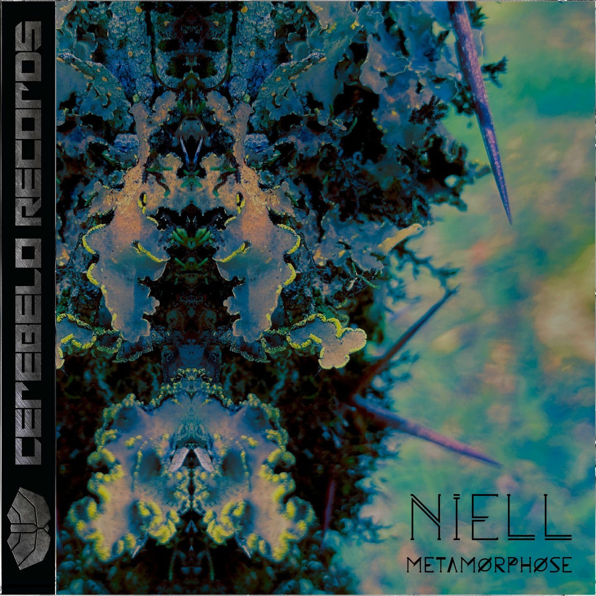 Album cover of Metamorphose