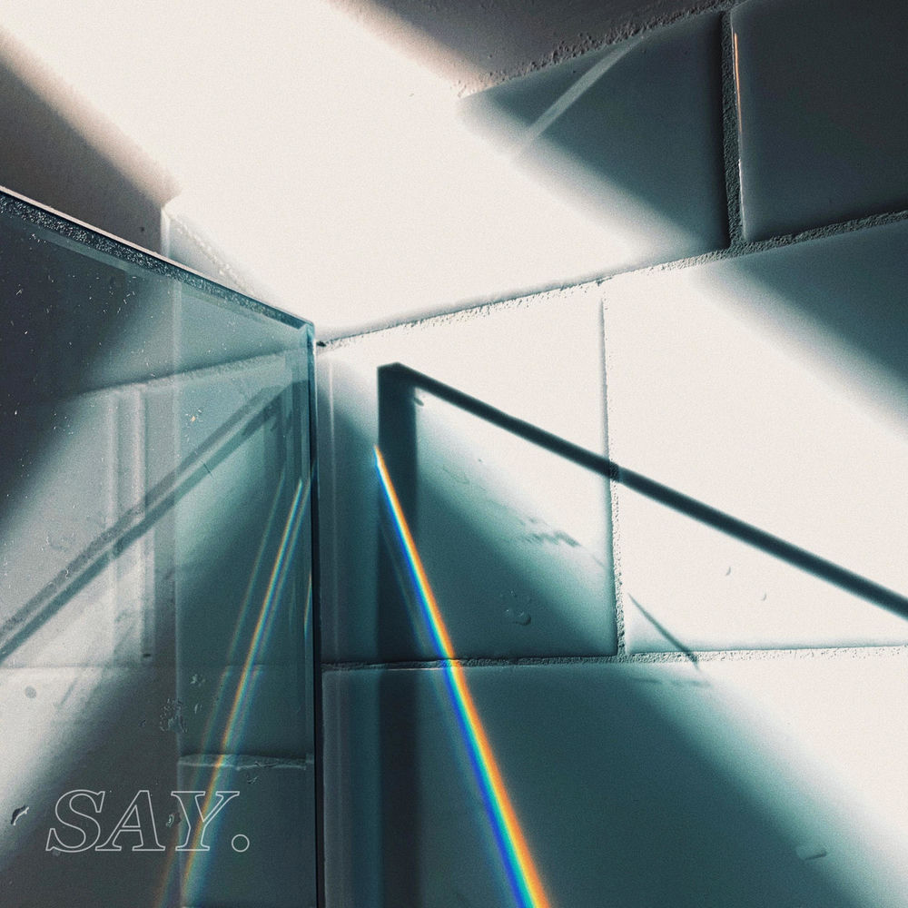 SAY. cover
