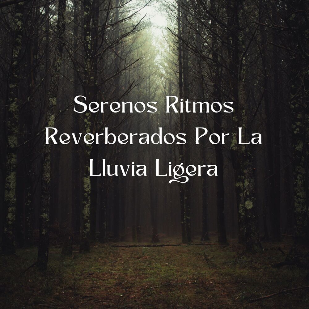 Picture of Serenos Ritmos Reverberados Por La Lluvia Ligera