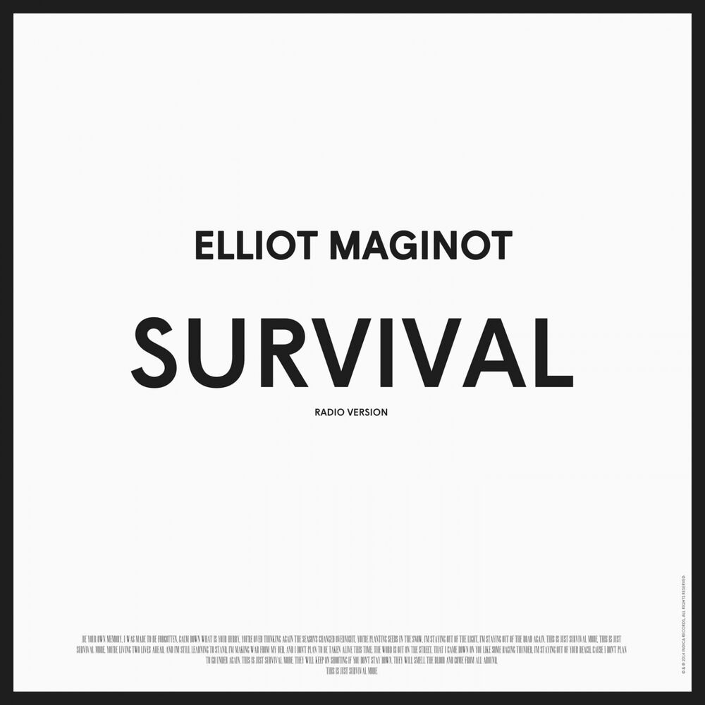 Picture of Survival (Radio Version)
