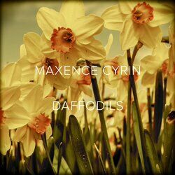Cover of Daffodils