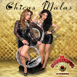 Cover of Chicas Malas