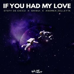 Cover of If You Had My Love