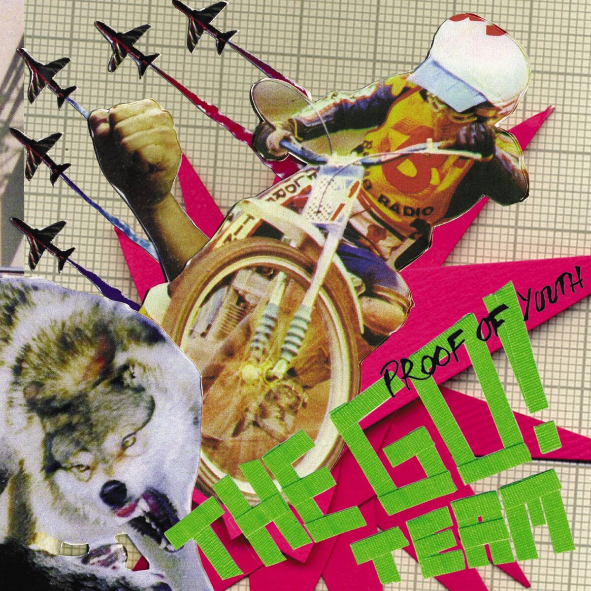 Album cover of Proof of Youth (Special Edition)