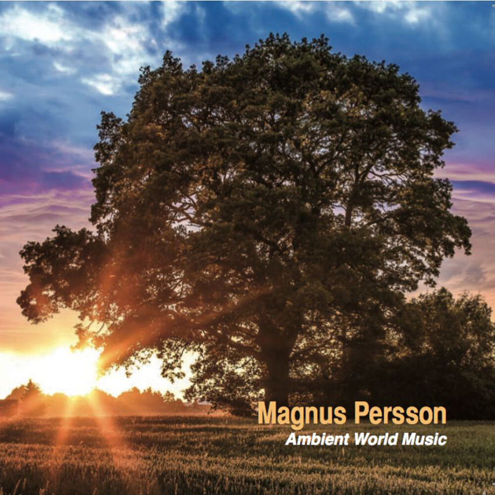 Picture of Ambient World Music
