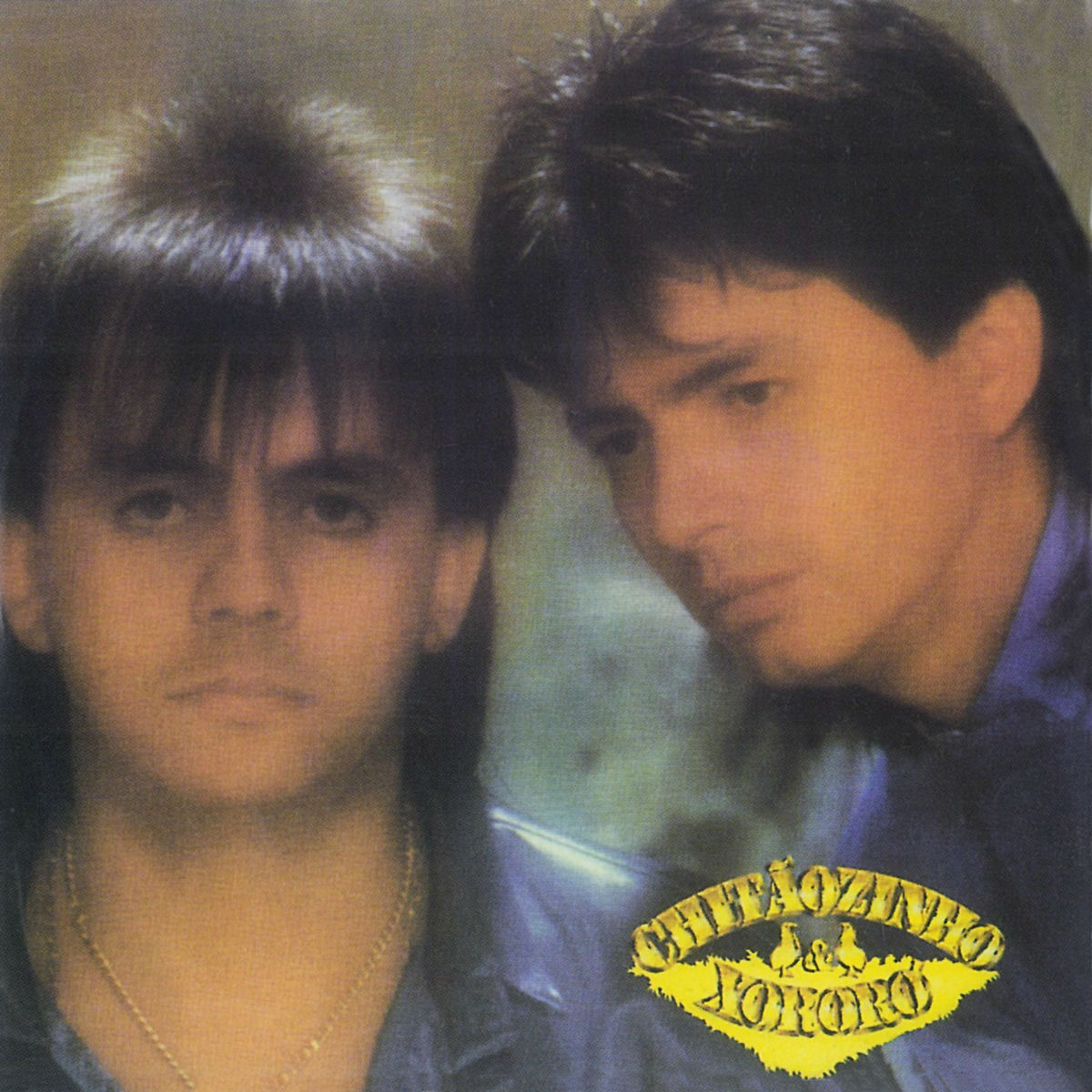 Album cover of Meu Disfarce