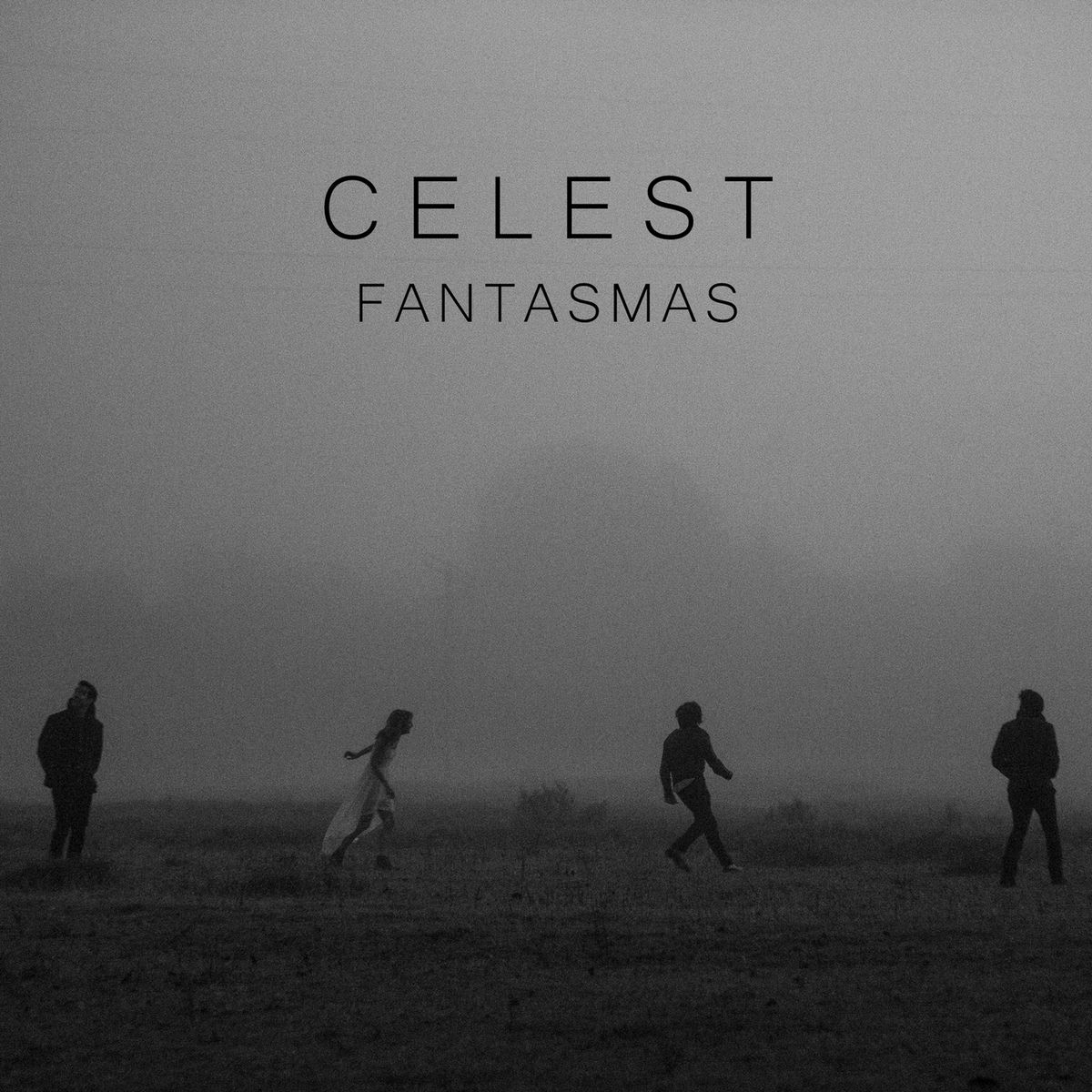 Album cover of Fantasmas