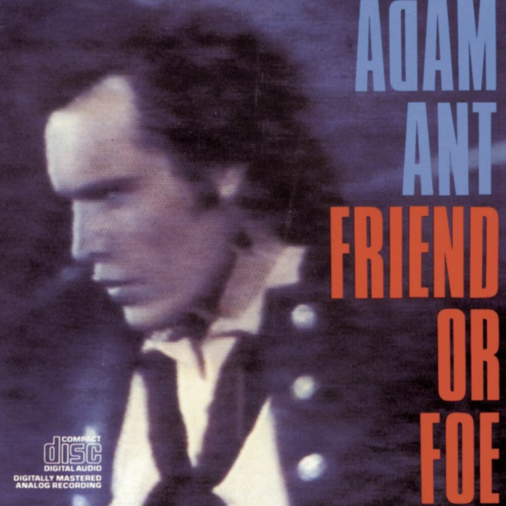 Picture of Friend Or Foe