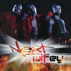 Cover of Wifey