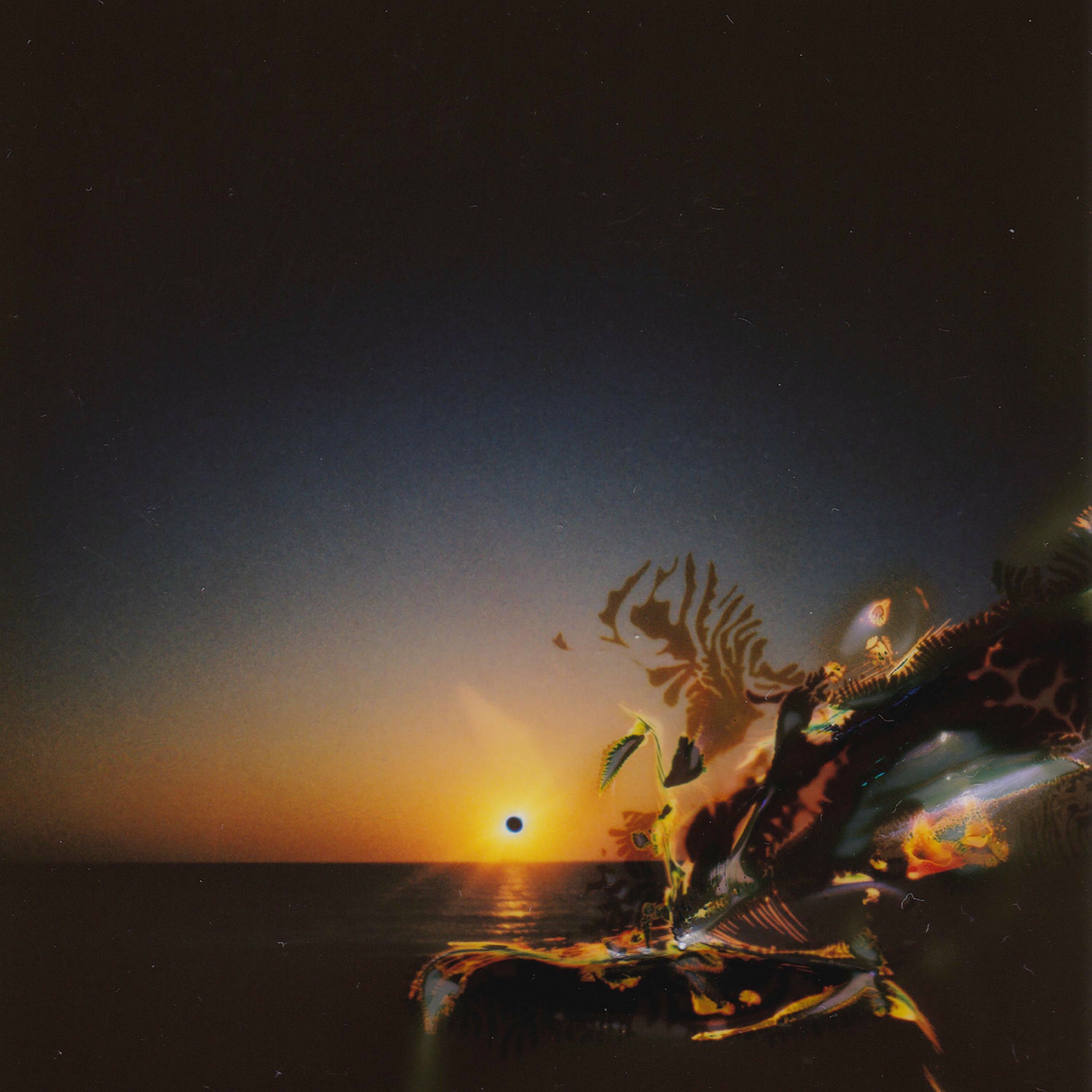 Album cover of Keep The Orange Sun