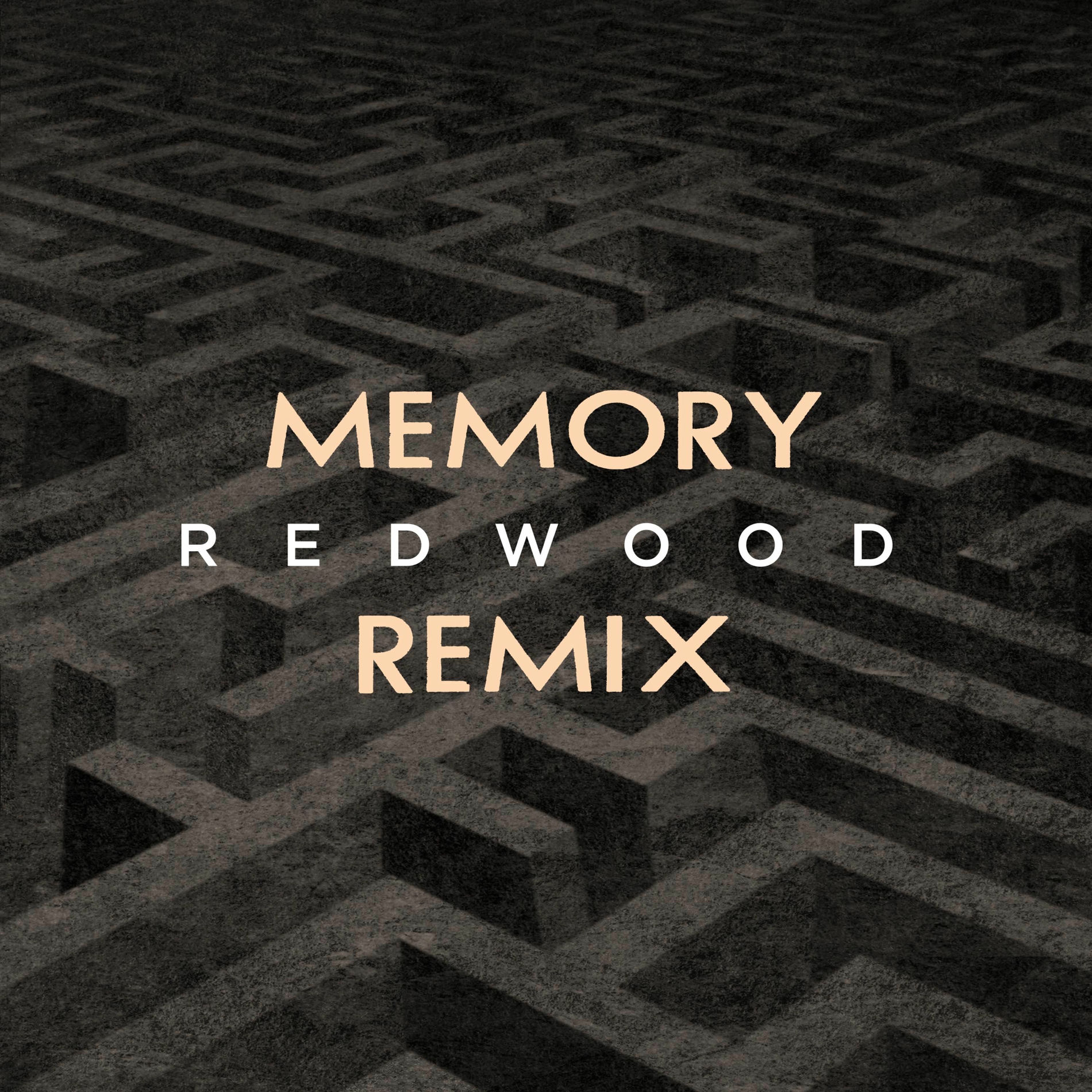 Album cover of Memory