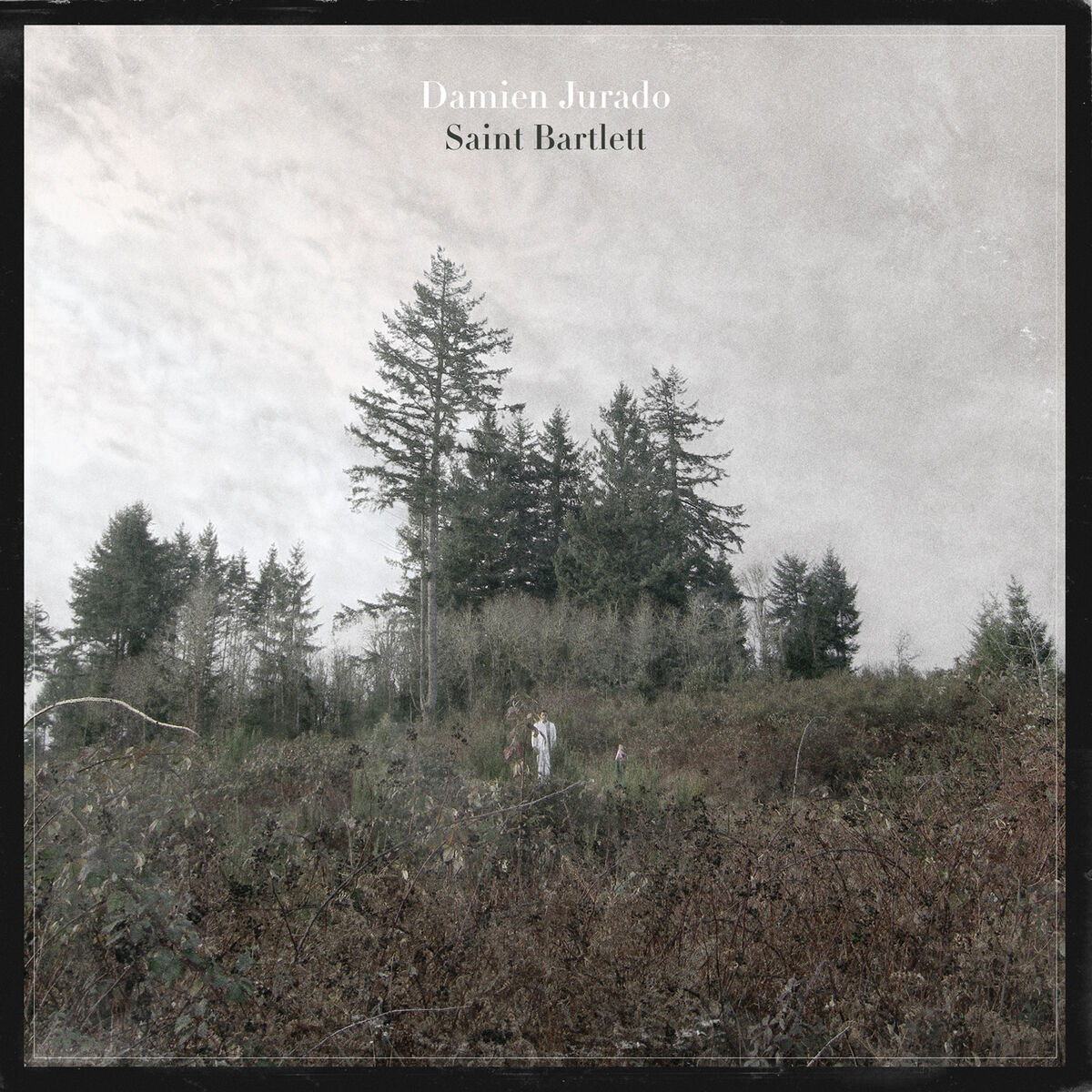 Album cover of Saint Bartlett