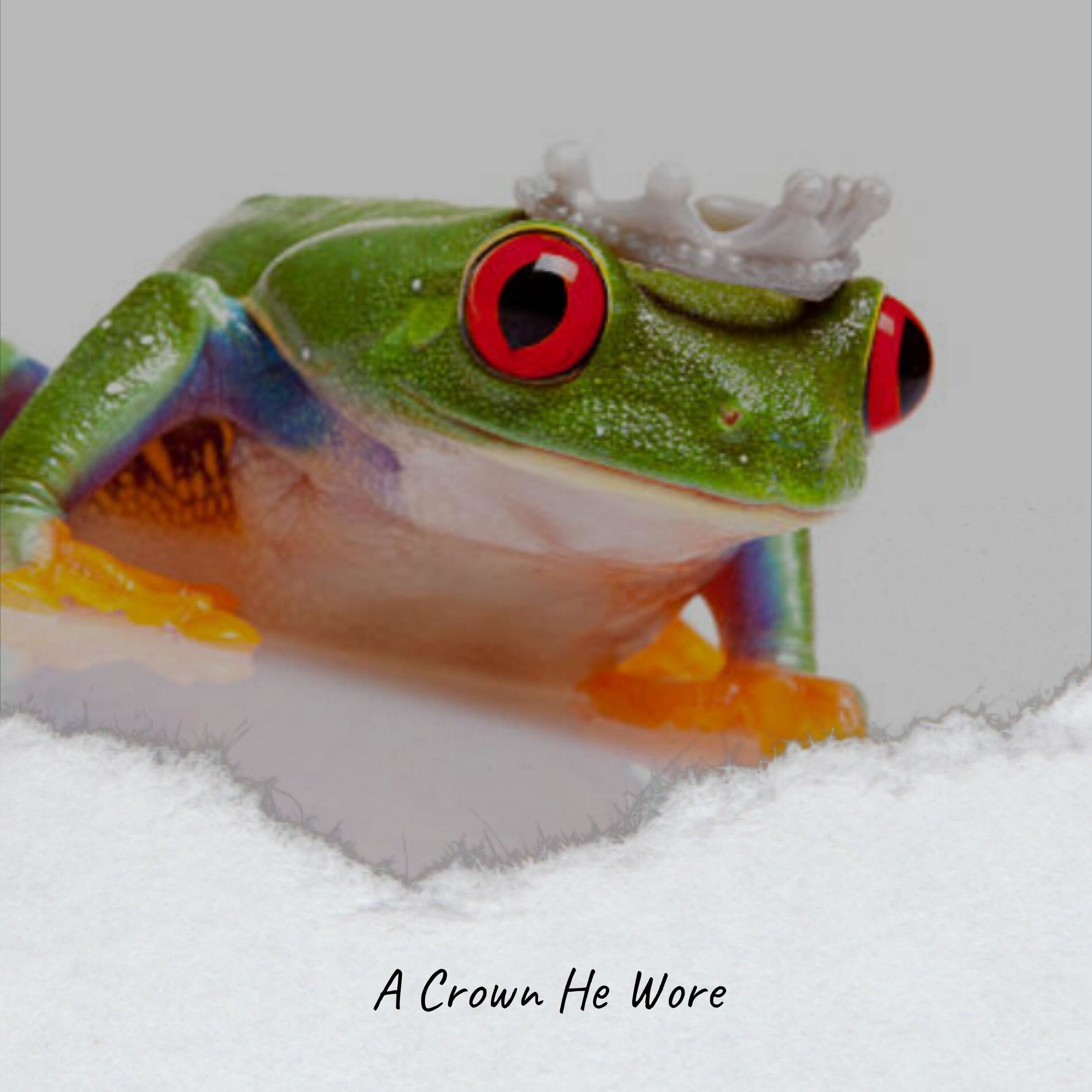 Album cover of A Crown He Wore