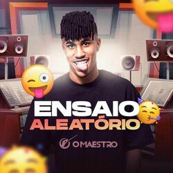 Cover of Ensaio Aleatório