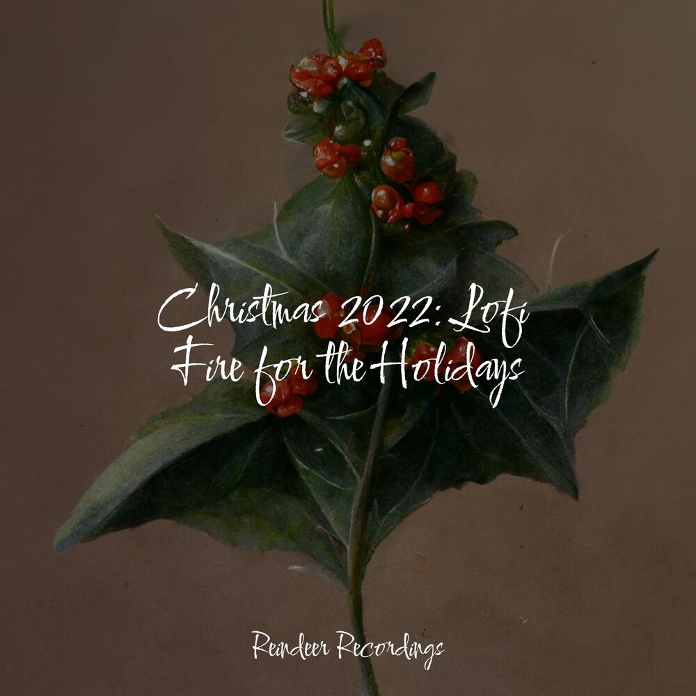 Picture of Christmas 2022: Lofi Fire for the Holidays