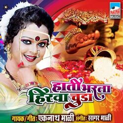 Cover of Hati Bharla Hirva Chuda