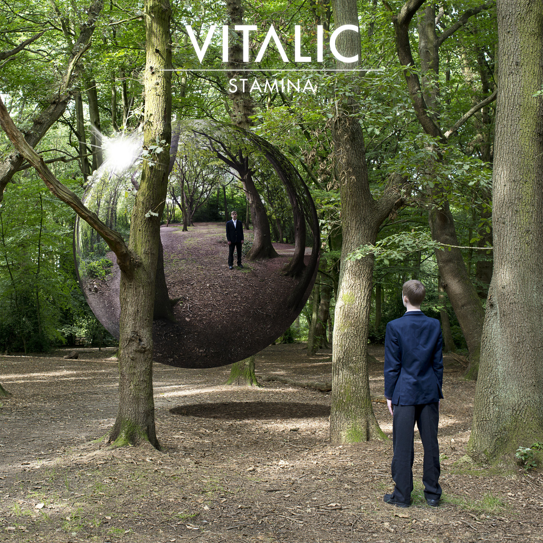 Album cover of Stamina