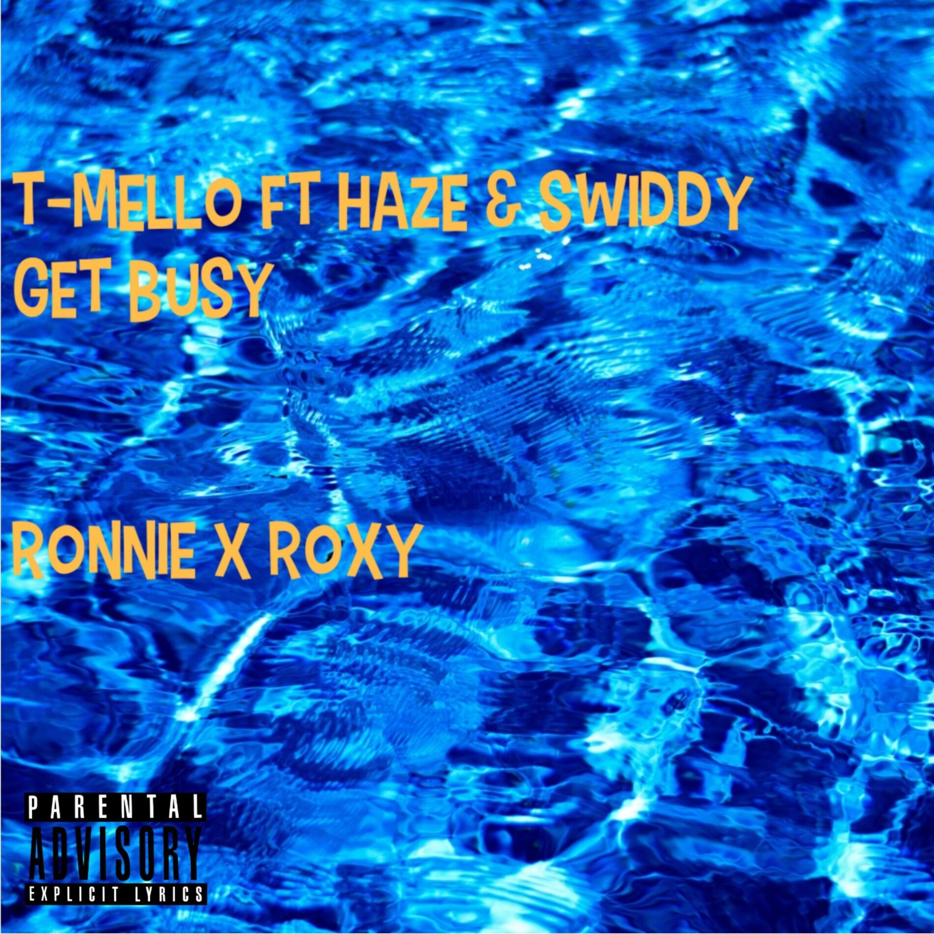Album cover of Ronnie X Roxy (feat. Haze & Swiddy Get Busy)