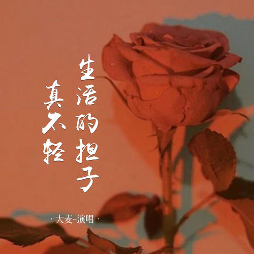 生活的担子真不轻