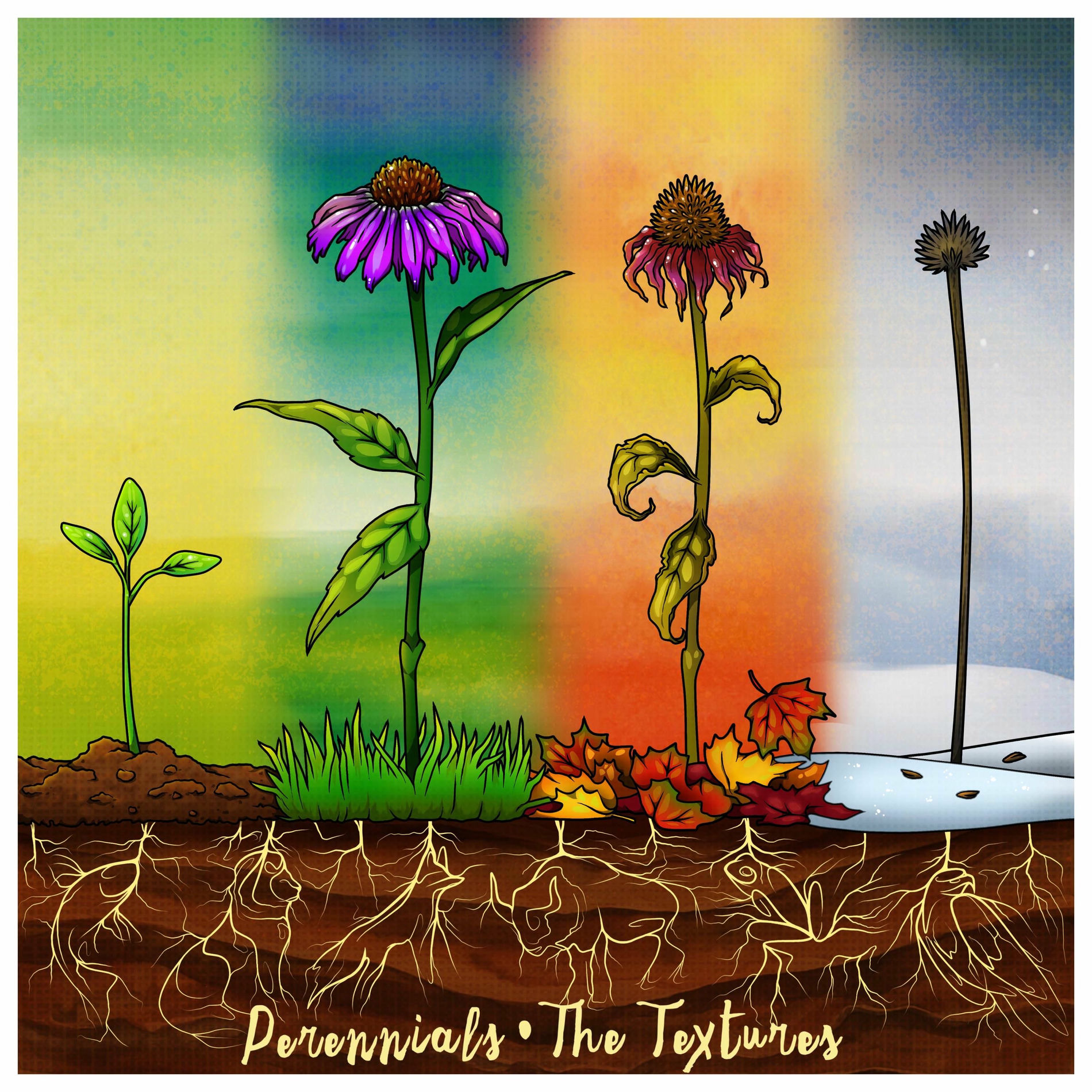 Album cover of Perennials