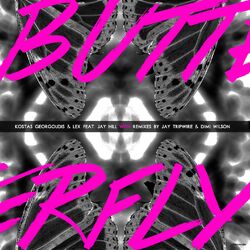 Cover of Butterfly