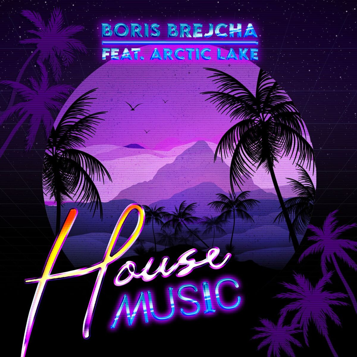 Album cover of House Music (feat. Arctic Lake)