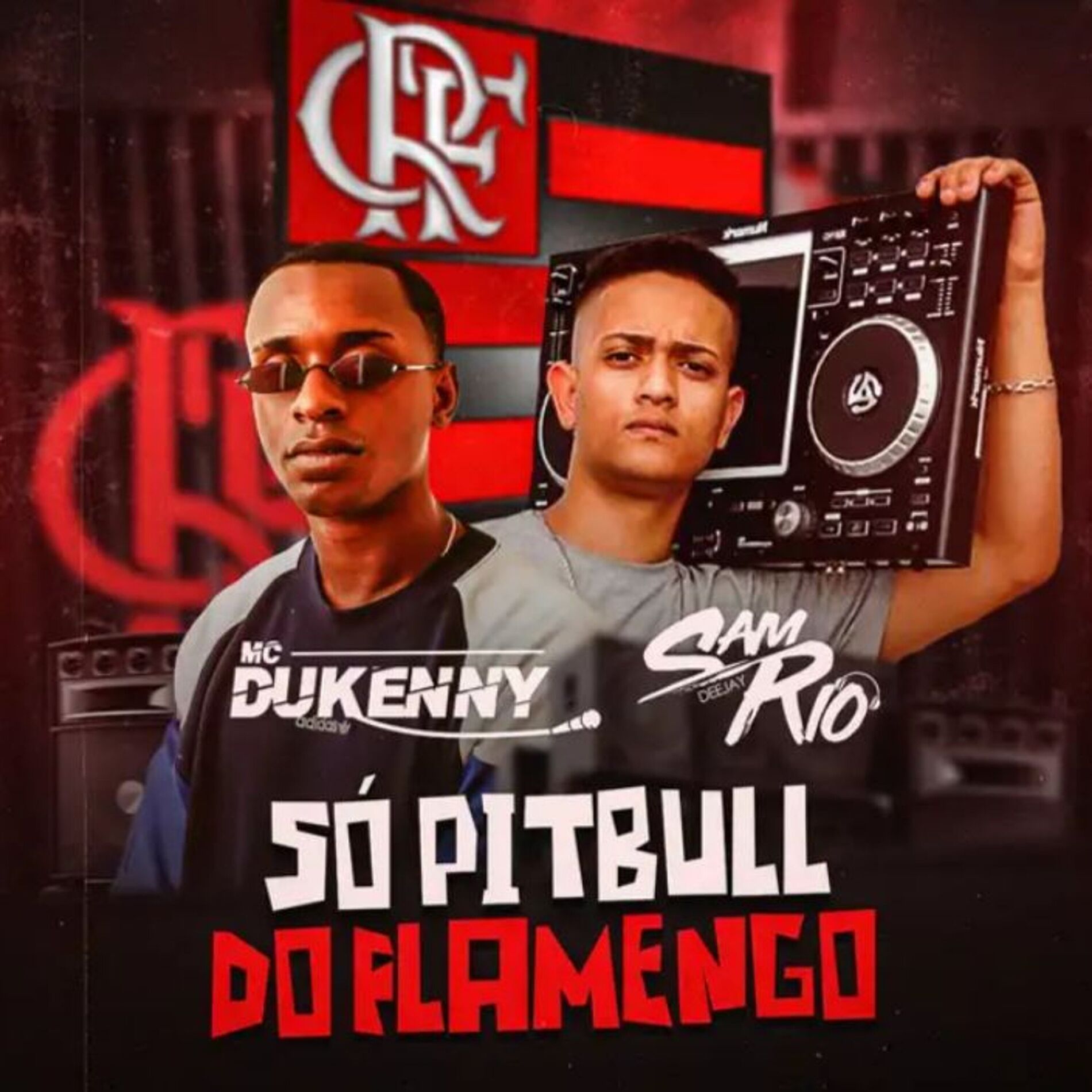 Album cover of Só Pitbull do Flamengo