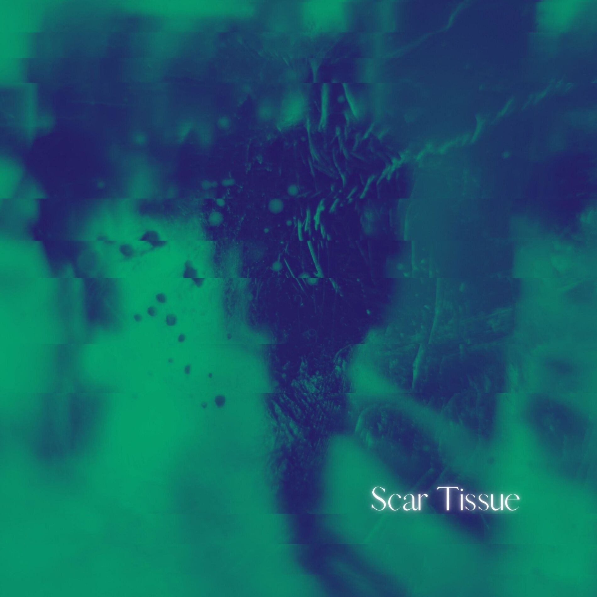 Album cover of Scar Tissue