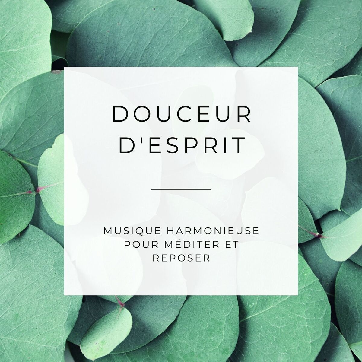 Album cover of Douceur d'esprit: Musique harmonieuse pour méditer et reposer