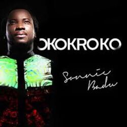 Cover of Okokroko