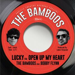 Cover of Lucky (feat. Bobby Flynn)