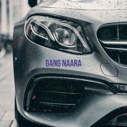 Cover of Gang