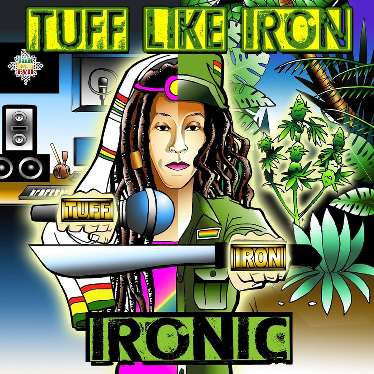 Album cover of Ironic