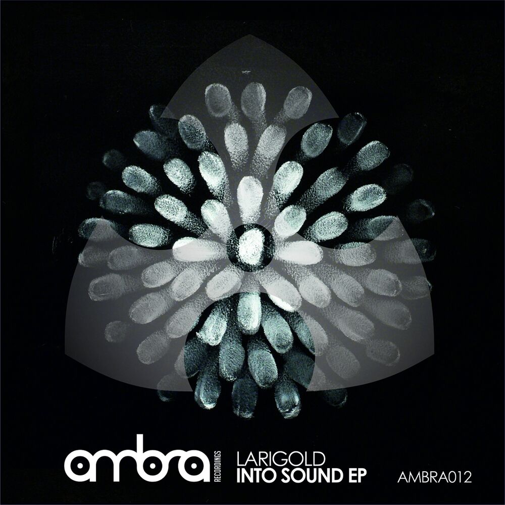 Picture of INTO SOUND EP