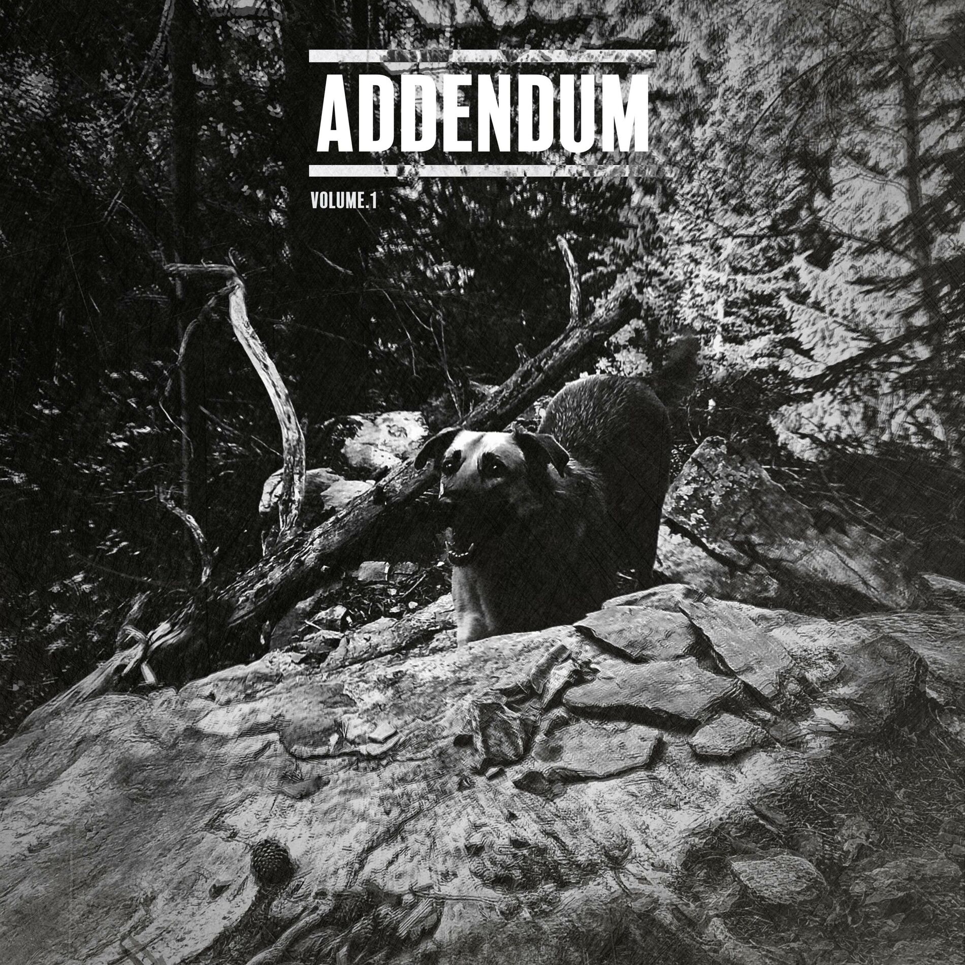 Album cover of Addendum vol.1