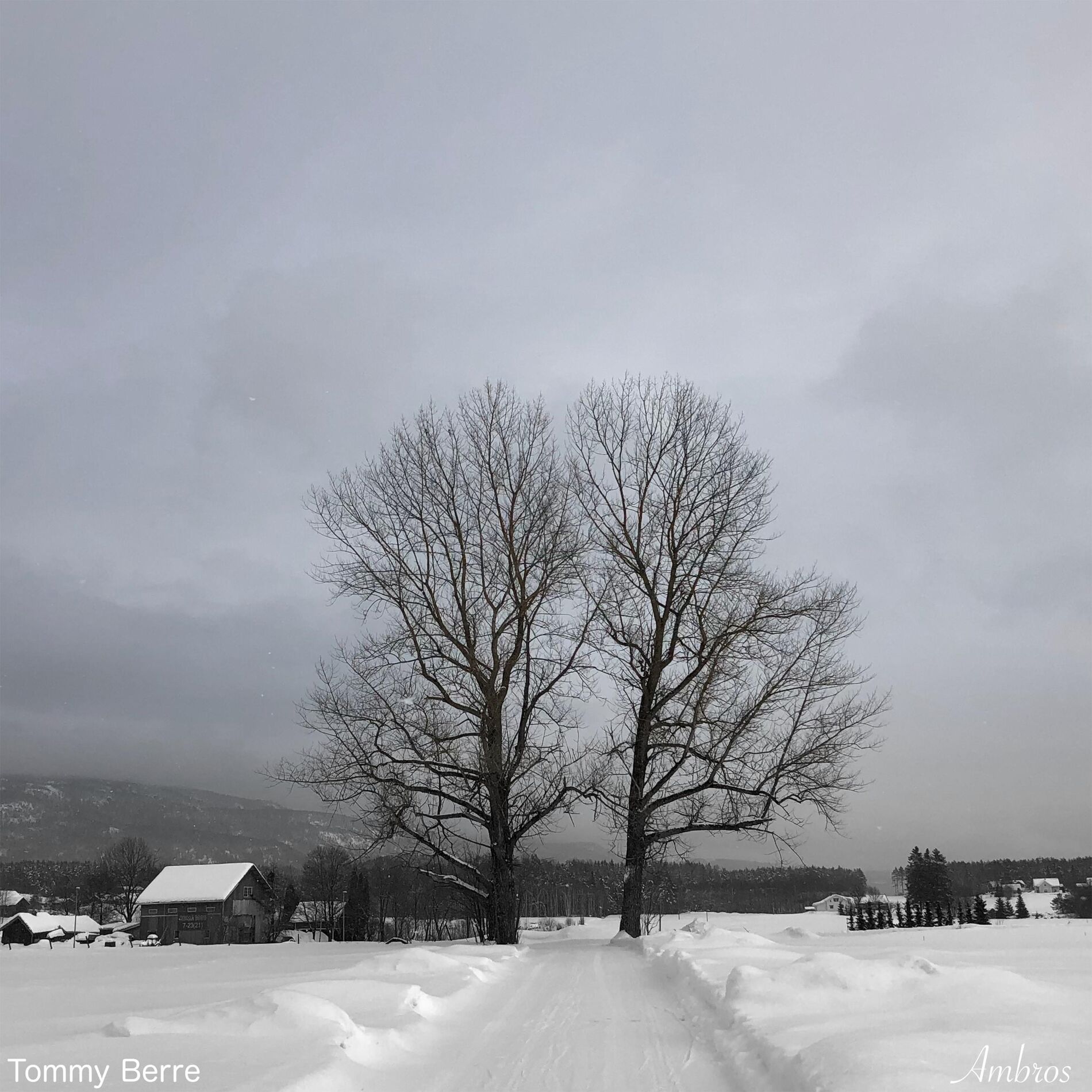 Album cover of Ambros