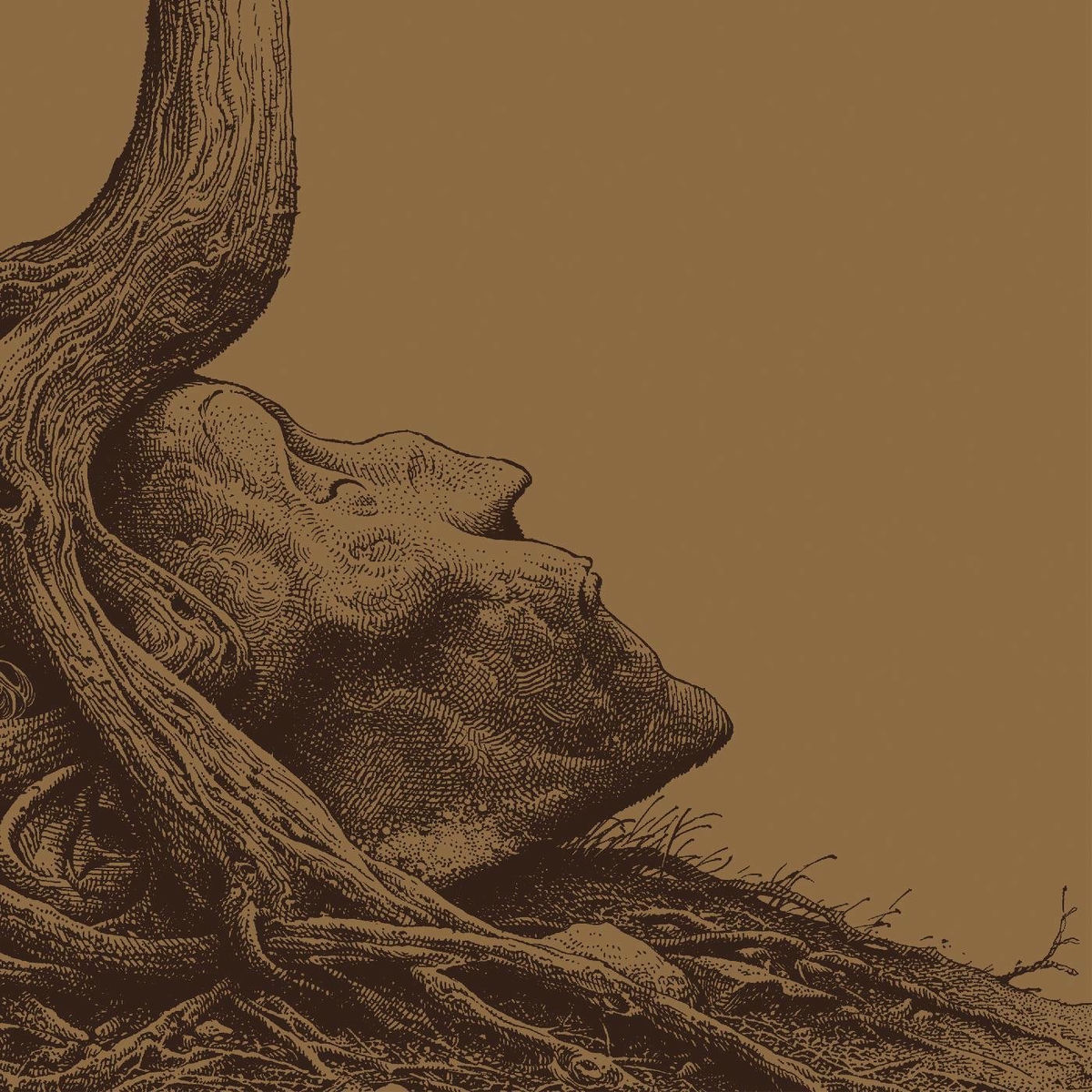 Album cover of Myopia