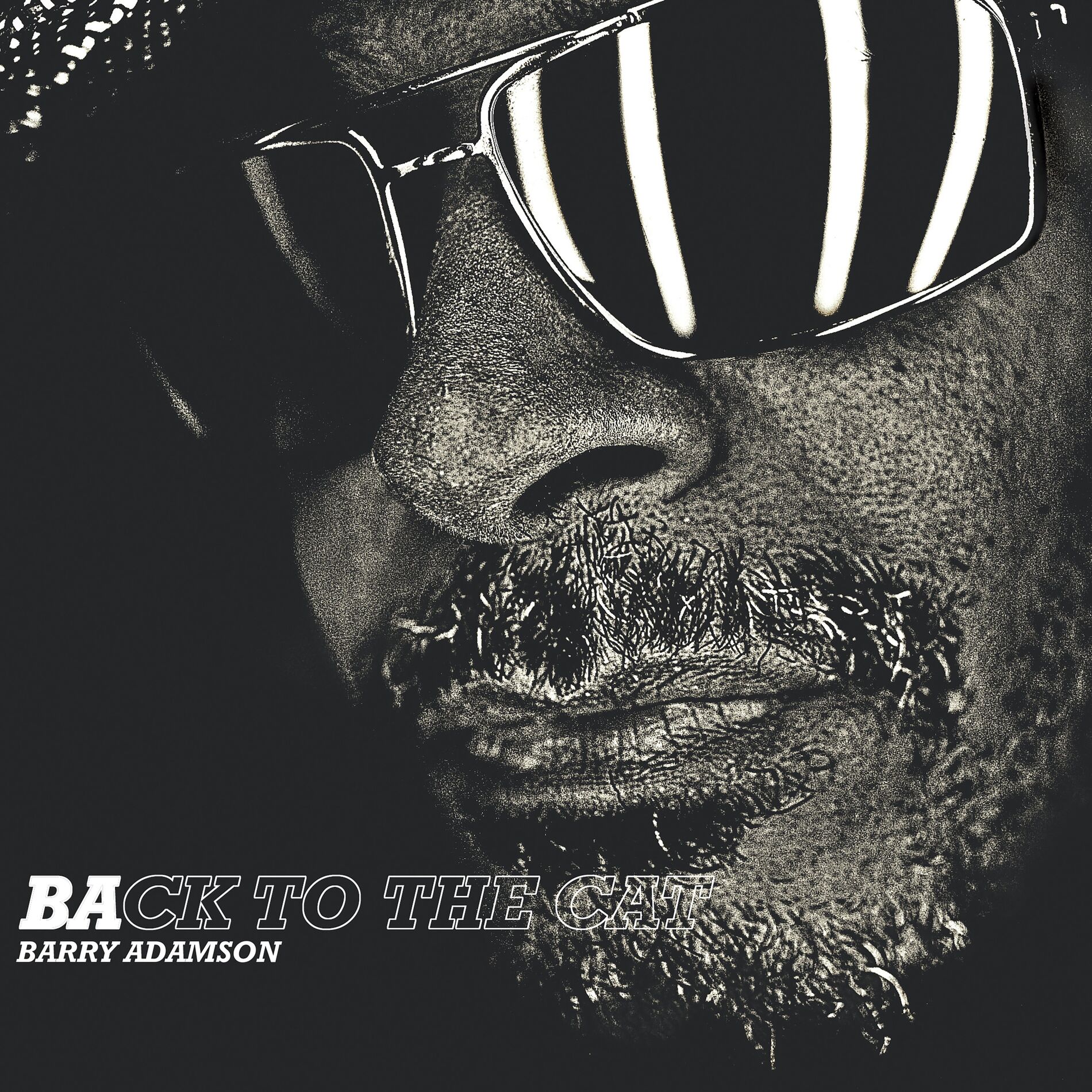 Album cover of Back To The Cat