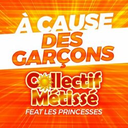 Cover of À cause des garçons