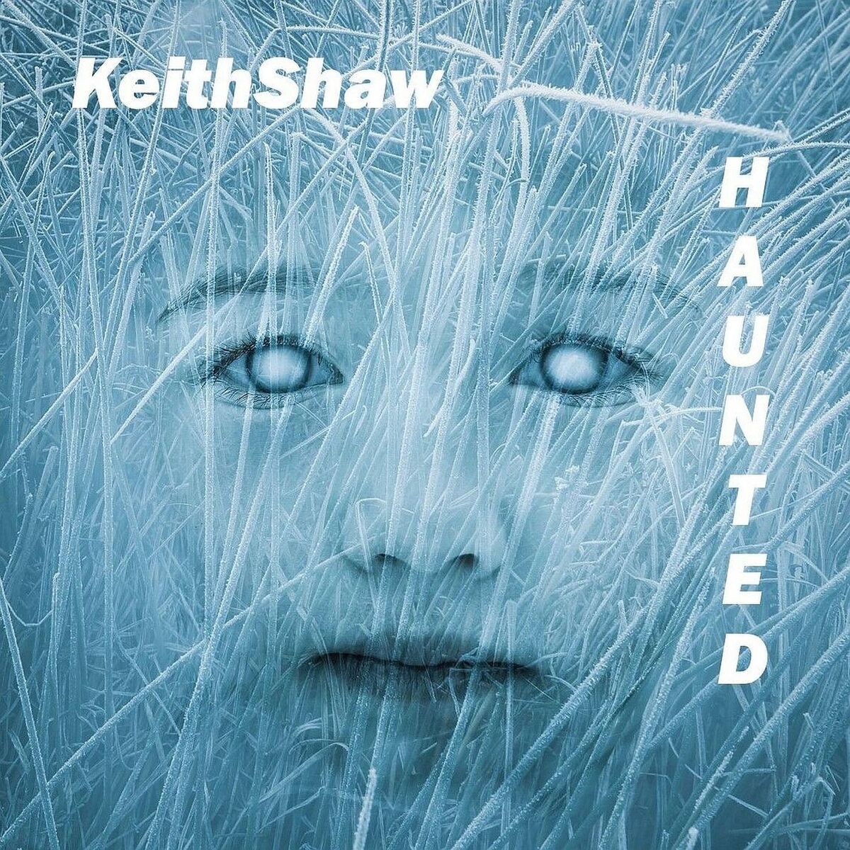 Album cover of Haunted